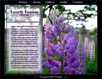 Lupines